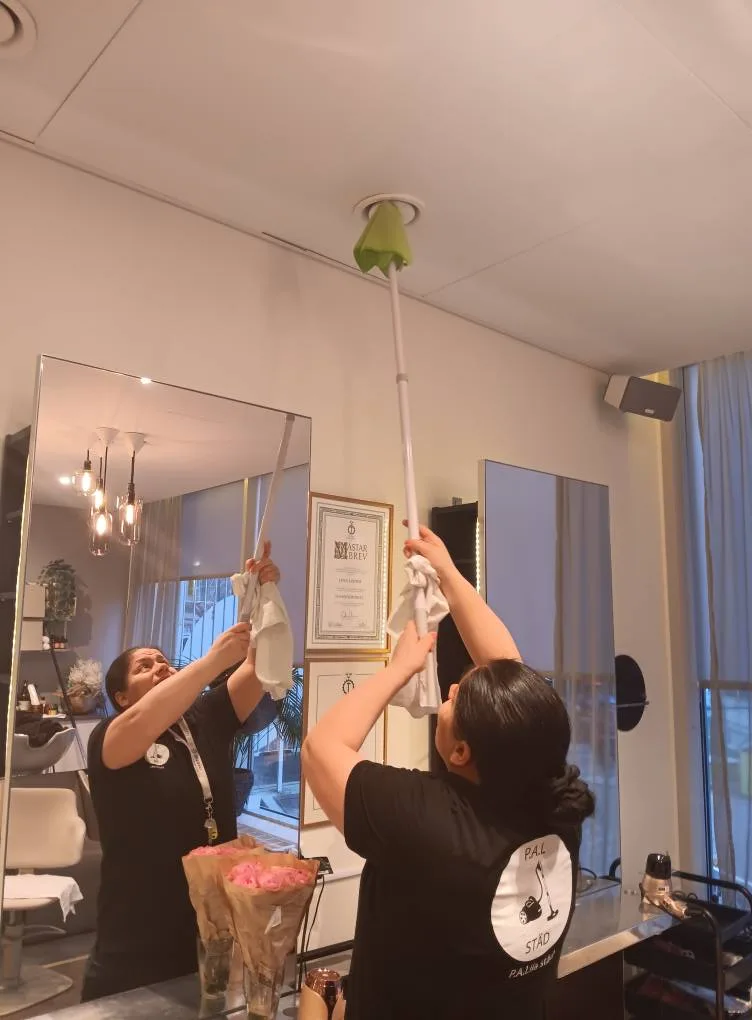 Hemstädning Hammarby Sjöstad – Palillastäd noggrann rengöring